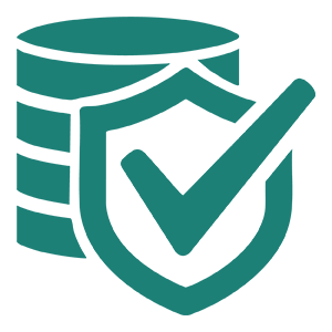 Strong Data Security Icon