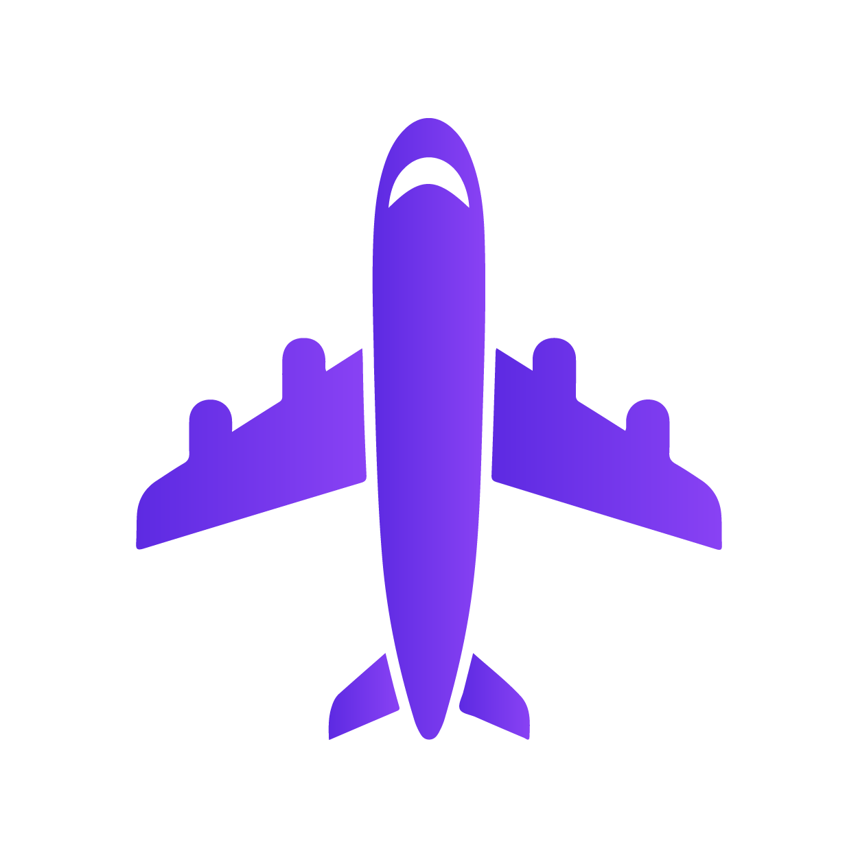 aviation icon